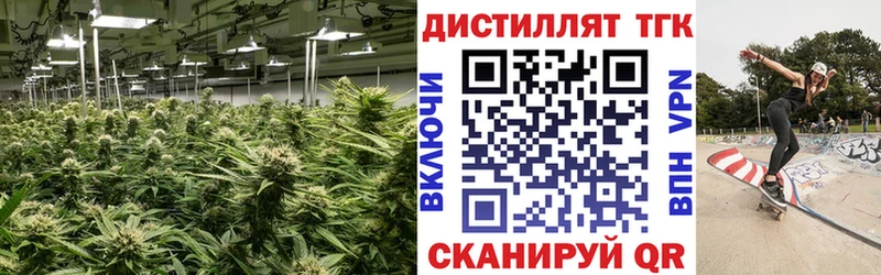ТГК Wax  Купить  Краснообск 