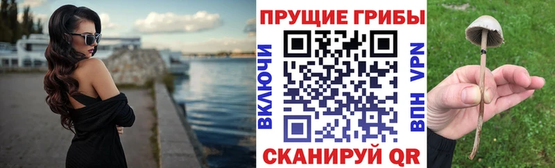 Галлюциногенные грибы ЛСД  Купить  Краснообск 