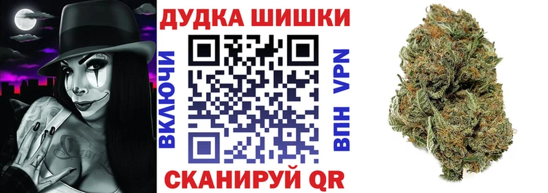 Купить закладки  Краснообск  МАРИХУАНА сатива 
